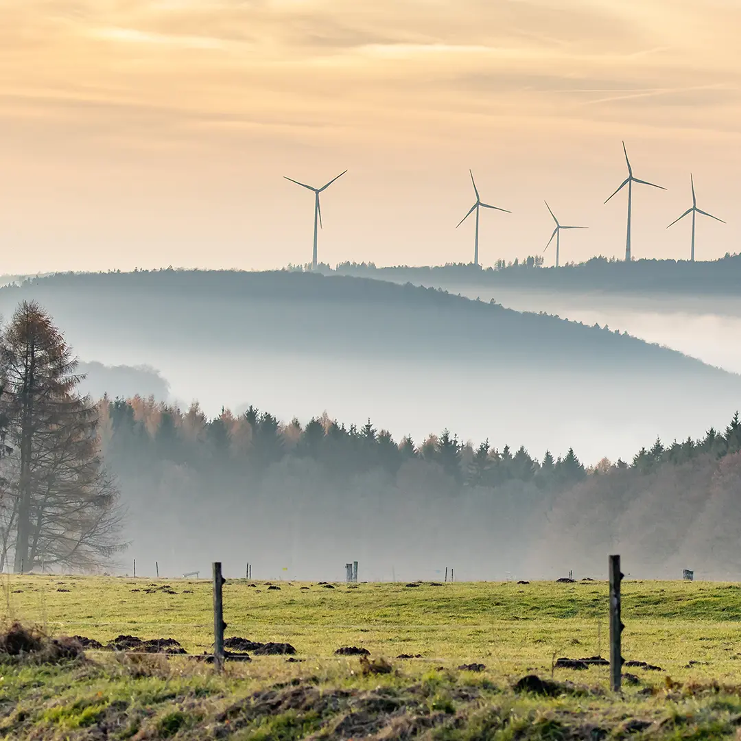 gr-gartenbau-region-kassel